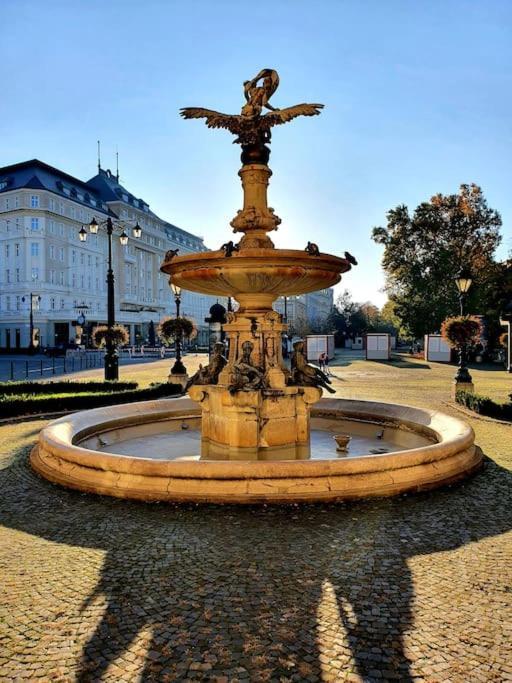 Lovely & Unique Apt In The Historic Center. Μπρατισλάβα Εξωτερικό φωτογραφία